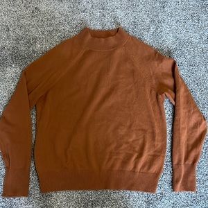 Everlane cashmere Raglan Mockneck